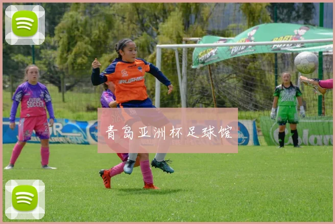 青岛亚洲杯足球馆