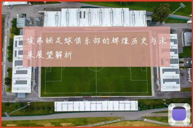 埃弗顿足球俱乐部的辉煌历史与未来展望解析