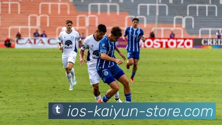 Kaiyun官网平台生态图